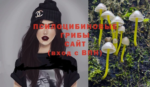 а пвп мука Абаза